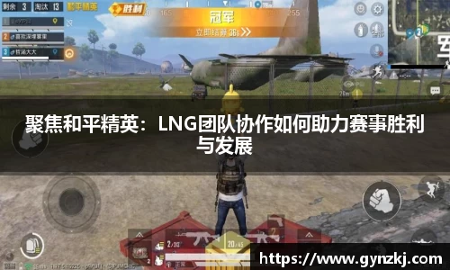 聚焦和平精英：LNG团队协作如何助力赛事胜利与发展